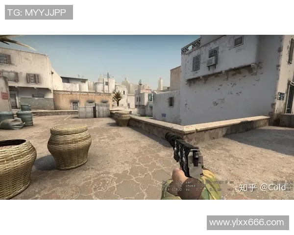 CSGO战队RNG的战术思维与游戏意识深度解析与探讨
